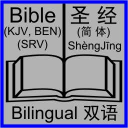 Bible: Bilingual display