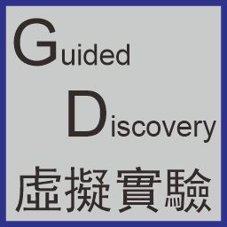 Guided Discovery