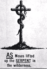 Snake on Pole